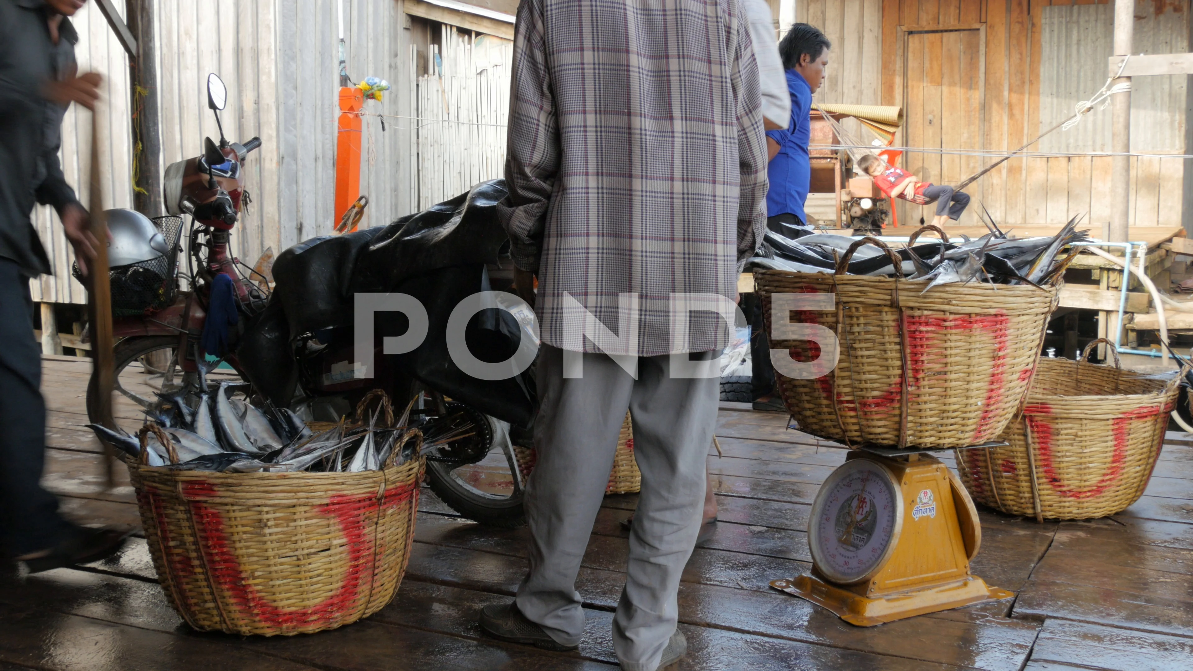 Men loading baskets with fish on motorcy, Stock Video