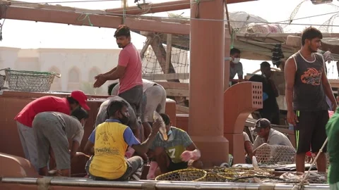 Men loading fish into baskets, fish market workers in process. Stock Footage 207807103