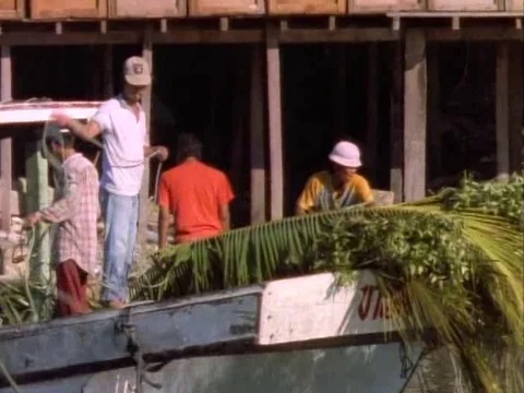 Men loading tree leaves with the thin branches on a boat Stock Footage 79882897