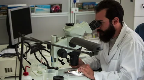 Men on microscope 2 Stock Footage 49426723
