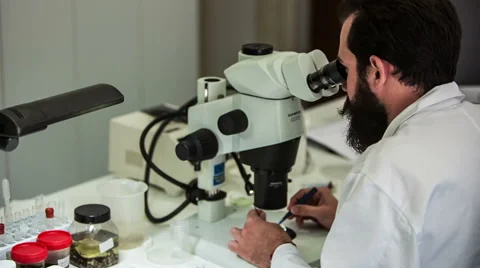 Men on microscope 3 Stock Footage 49427510