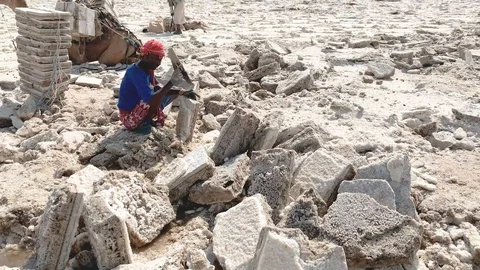 Men mining salt blocks on Lake Karum Ethiopia, Deecember 2018, tc01 Stock Footage 102225306