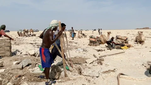 Men mining salt blocks on Lake Karum Ethiopia, tc01, Deecember 2018 Stock Footage 102226023
