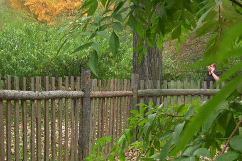 The men model 2 Stock Footage 296196