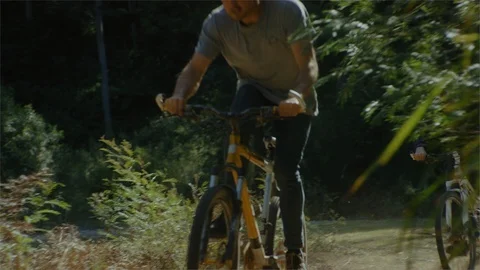 Men mountain biking in the forest Stock Footage 107416502
