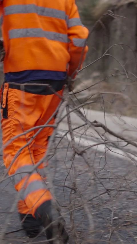 Men in orange jumpsuits remove branches Stock Footage 272479611