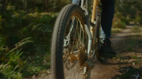 Men pedaling mountain bikes in the forest Stock Footage 107416686