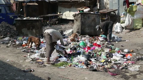 Men picking through garbage on the street of Mumbai. Stock Footage 49381345