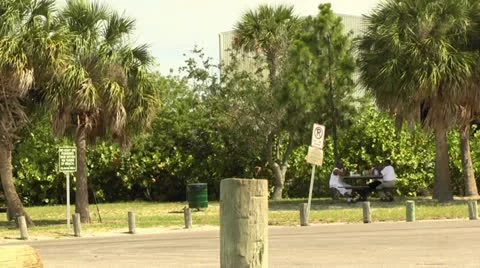 Men at a picnic Video stock 24802180