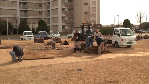 Men Placing Sod  co Stock Footage 116619009