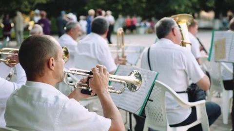 Men play musical instruments in the orchestra in the park on summer day 스톡 동영상 76891538