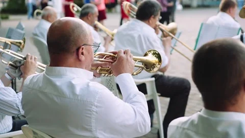 Men play musical instruments in the orchestra in the park on summer day Stock-Footage 76891554