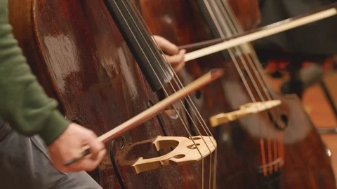 Men playing cello Stock Footage 108370868