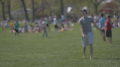 Men playing frisbee in Central Park Stock Footage 114246773