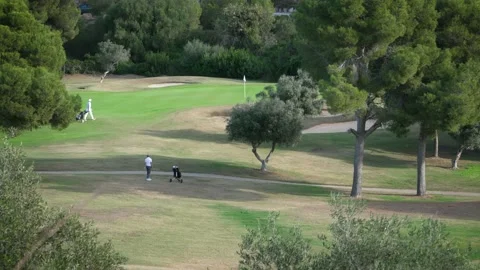 Men playing golf 4K 15 Stock Footage 238431052