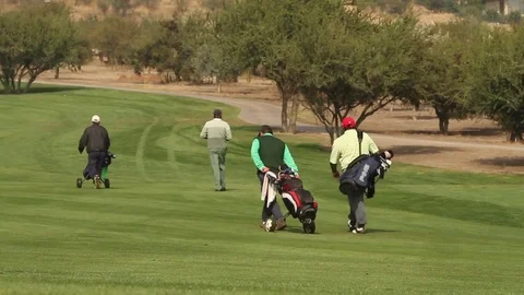 Men playing golf Stock Footage 77047275