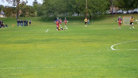 Men playing lacrosse Vídeo Stock 91178079