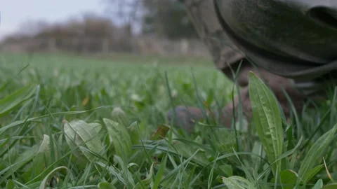 Men Pointing at various types of Grass and Shrubs Vídeo Stock 229948120