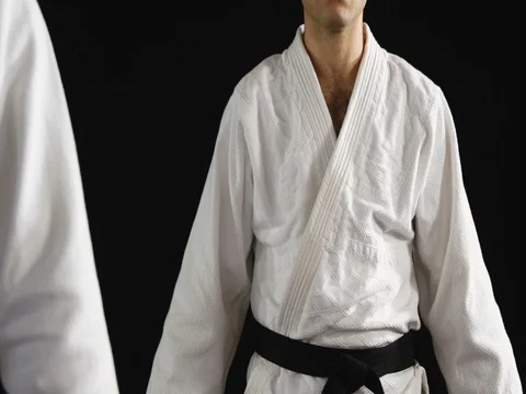 Men practicing karate Stock Footage 72298089