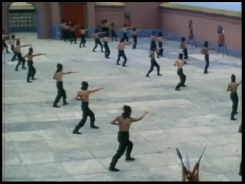 Men practicing martial arts in large courtyard Stock-Footage 260252779