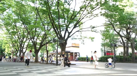 Men practicing skateboarding Stock Footage 66689818
