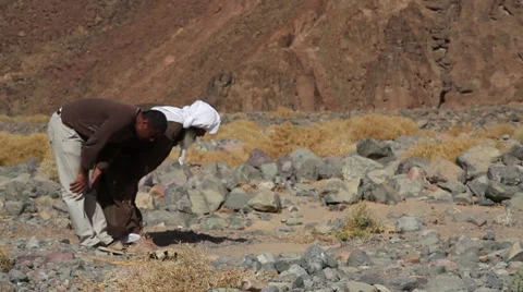 Men praying in the desert, Hurghada, Egypt Video stock 38209045