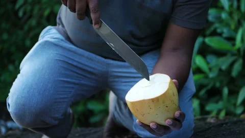 Men preparing fresh coconut juice in Sri Lanka Видео 182081854