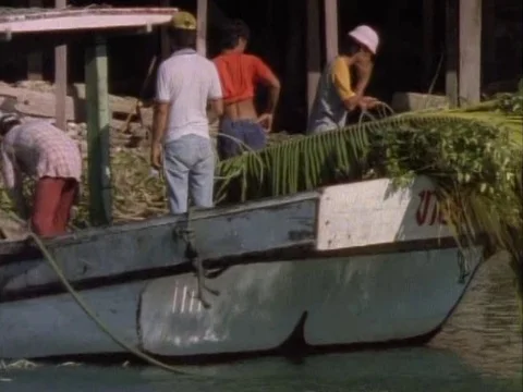 Men preparing to leave with the boat, loaded with tree leaves Stock Footage 79882942