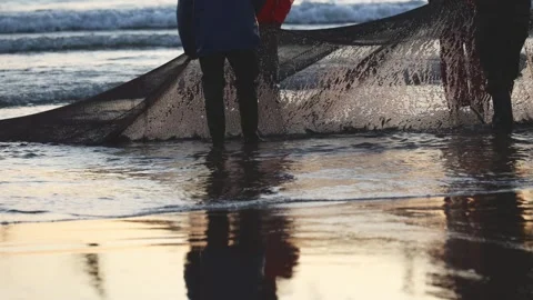Men Pulling Fishing net full of fresh catch.Coastal Work Scene.Portugal Stock Footage 310396155