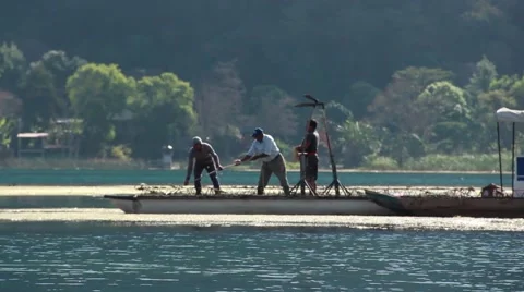 Men Pulling out a Fishing Net Stock Footage 50620572