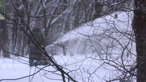 Men remove snow in the park with a snow blower Stock Footage 159439514