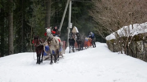Men ride on a sleigh pulled by horses. Stock Footage 73131506