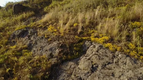 Men Riding A Bike Stock Footage