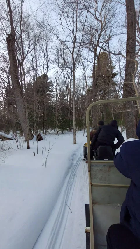 Men riding a snowmobile through a winter forest Stock Footage 270119149