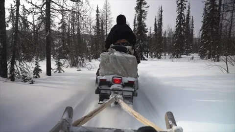 Men riding a snowmobile through a winter forest Stock Footage 273705461