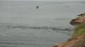Men riding a speed boat on the Indian Ocean in Sri Lanka HD Footage