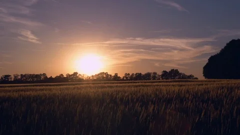 Men runs at countryside. Stock Footage
