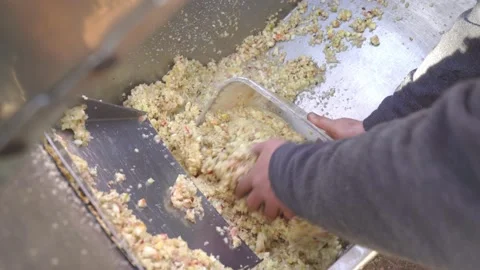 Men 's hands are raking out crushed apple paste for cider production mushed by Stock Footage 167701771