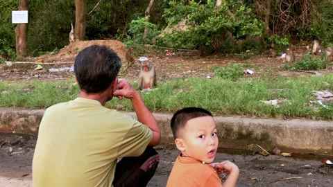 Men sit and watch monkey eating at the foot of Son Tra mountain, Da Nang Stock Footage 143623152