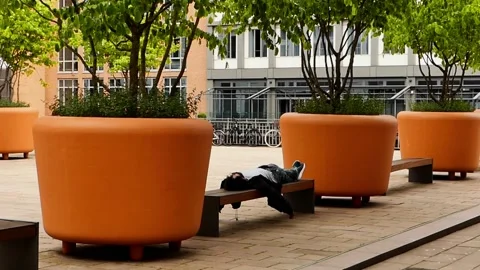 Men Sleeps On The Bench Stock Footage 155076285