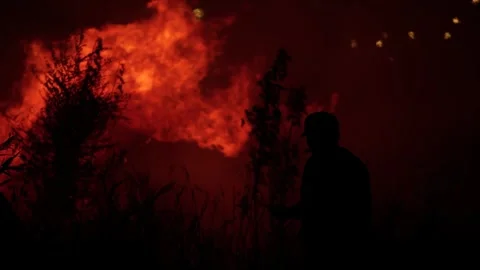 Men standing in front of a burning forest Stock Footage 247506591