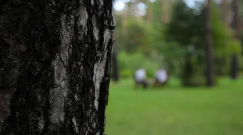 Men in suits talking in park Stock Footage 64862769