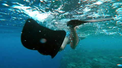 Men Underwater Stock Videos – Royalty-Free HD & 4K Videos