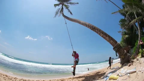 Men swing on palm tree at the beach in Sri Lanka Stock Footage 175861102