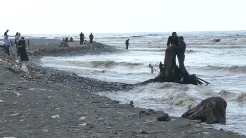 Men take a seaside selfie on a root-torn stump amid rough muddy waves Stock Footage 320744878