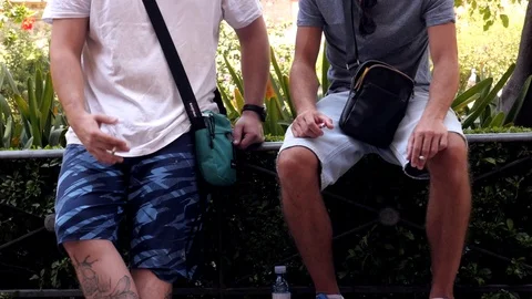 Men talking in a park Stock Footage 115069312