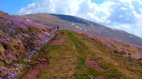 Men trekking on the spring mountain in the line Stock Footage 89027069