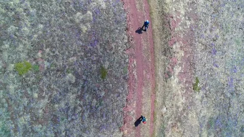 Men trekking on the spring mountain in the line Video stock 89027091