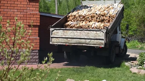 Men unload a cargo truck with a tree for heating a house in the village. Stock Footage 132377142
