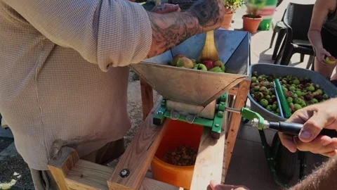 Men Using Manual Grinder to Crush Apples for Juice in the Kitchen Video stock 346688592
